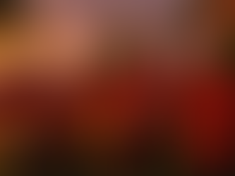 December in the Caribbean: Sunshine, Culture & Festive Magic