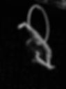 pole dancer 