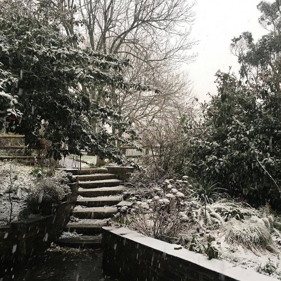 back door path