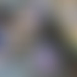 音響熟成木材で作るキッズイスワークショップ第１回目