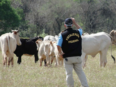 MP 903 é aprovada no Senado e segue para sansão presidencial