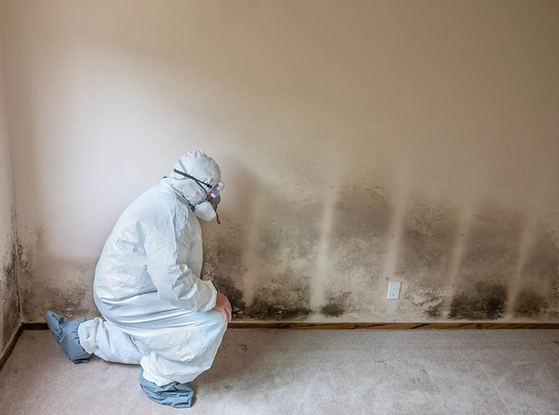 Screenshot 2026-03-26 at 3.23.57 PM.png