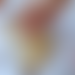 טורטיית תירס כשרה לפסח