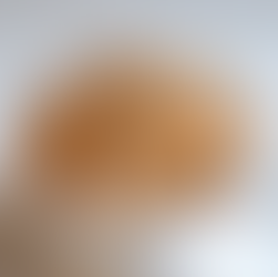 בייגלה יוגורט