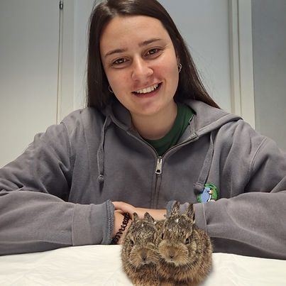 IMG-20241003-WA0057 copia.jpg