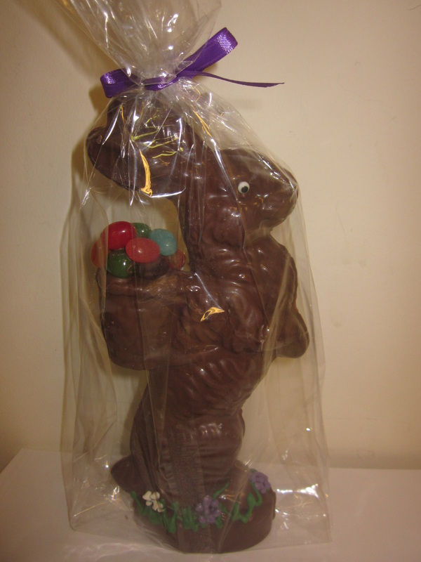 Chocolate bunny