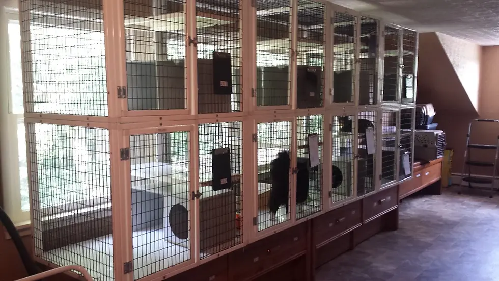 unnamed (5) (1).webp