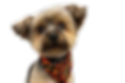 14.png