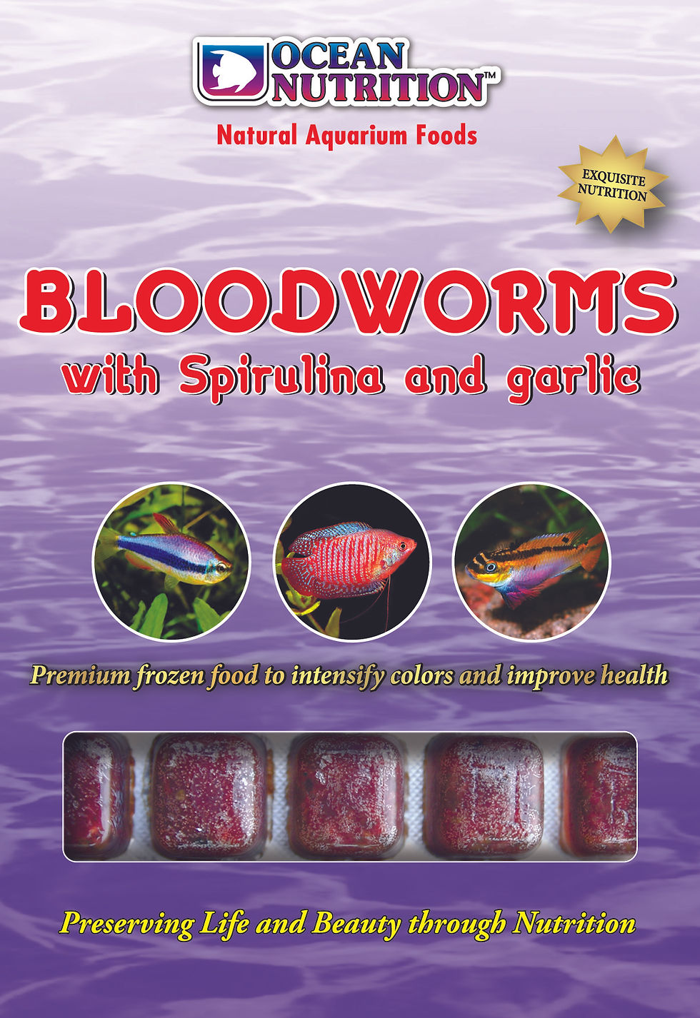 Frozen Bloodworms ++ Aquarium Depot