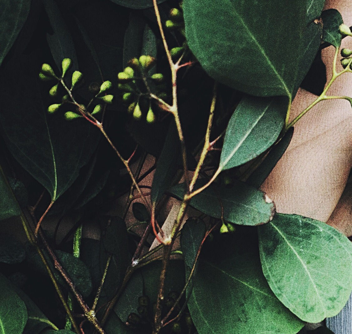 Huile Décontractante à l'Eucalyptus - 200 ml