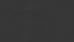 SPARK BG.webp