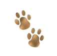 Paws.jpg.png