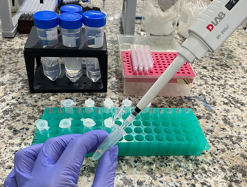 extract purification