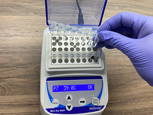 Isothermal Amplification