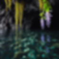 wisteria, ylang-ylang and seaweed floating in the waves in an black rock cave under water.