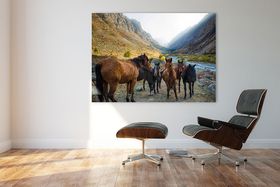 Thumbnail: Wild Horses of Kyrgyzstan