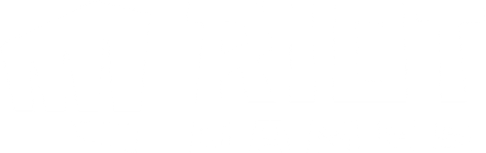 riot game vector.png