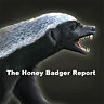 Honey Badger Report