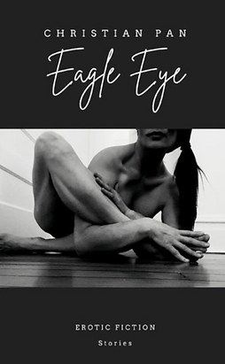 Eagle Eye book cover