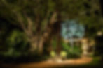 Landscape Lighting Design in Naples.jpg