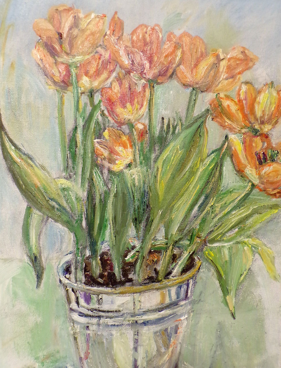 Dutch Tulips