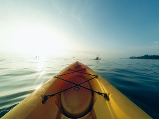 4 Things to Do Only in La Jolla