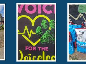 Community Pillars: The Vital Work of the Carletonville SPCA