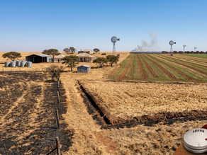 Scorching Risks and Vital Safeguards: Potch Braces for Fire Season