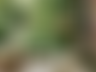 Merafong City Faces Critical Water Crisis as Reservoir Levels Plummet