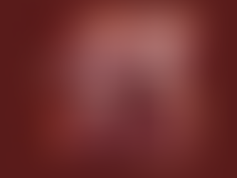 Potch Dorp Women’s Rugby Sets a New Standard for Excellence and Community Partnership