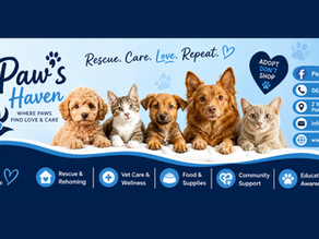 A Look Inside Paws Haven’s Weekly Operations