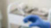 South Africa Gazettes Stringent New Foot and Mouth Disease Control Measures