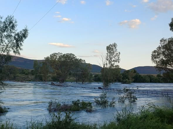 Potchefstroom community safety recap: 1–20 November 2025