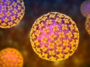 The Real Story of Hantavirus : A Tale of Quick Science, Not a Local Outbreak