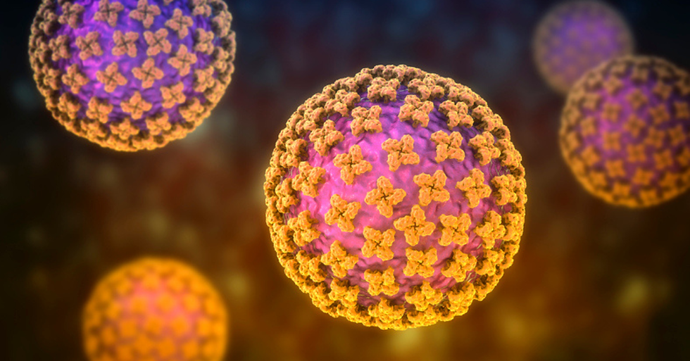 The Real Story of Hantavirus : A Tale of Quick Science, Not a Local Outbreak