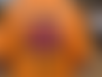 A Journey for the Animals – Leon Bester’s Visit to Paws Haven