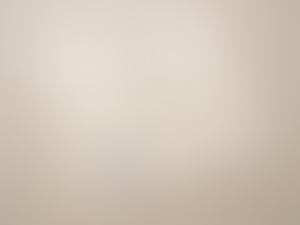 Liquor Licence Holders in Potchefstroom and Klerksdorp Advised to Renew for 2026