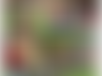 A Week at Amelia Nasorgsentrum: A Celebration of Community, Kindness and Connection