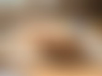 Beautiful Animals Seeking Forever Homes