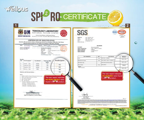 Spi2ro-Certificate.jpg