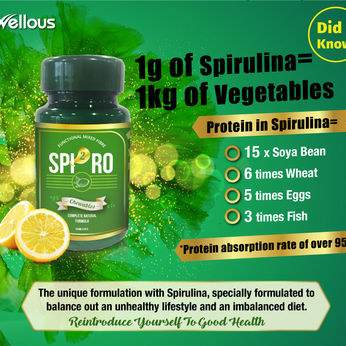 spiro-eflyer(eng)-04.jpg