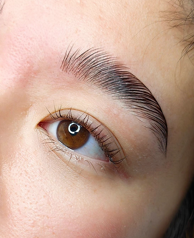 Brow-lam