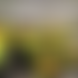 20 Years of the API: Energising Careers, Shaping the Future