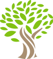 Oak Tree Capital Tree Logo