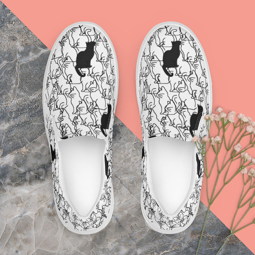 Men’s slip-on canvas shoes