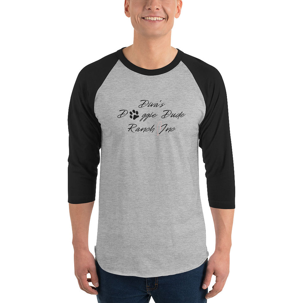 3/4 sleeve raglan shirt