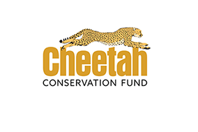 Cheetah Conservation Fund 75