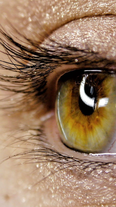 Eye