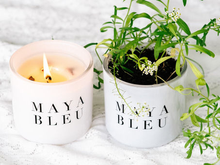 Product of the Month: Maya Bleu Shark Candles