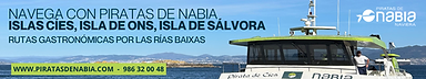 BANNER - vivevigo (1).png